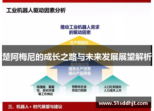 楚阿梅尼的成长之路与未来发展展望解析